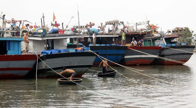 Fishing productivity in Thua Thien Hue increases