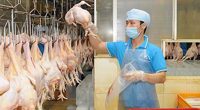 First batch of chicken shipped to Japan