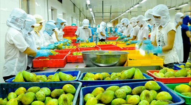 Export of fruits and vegetables to exceed 3 billion USD