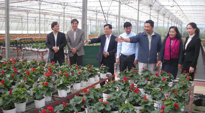 Measures to tackle high tech agriculture difficulties discussed in Lam Dong