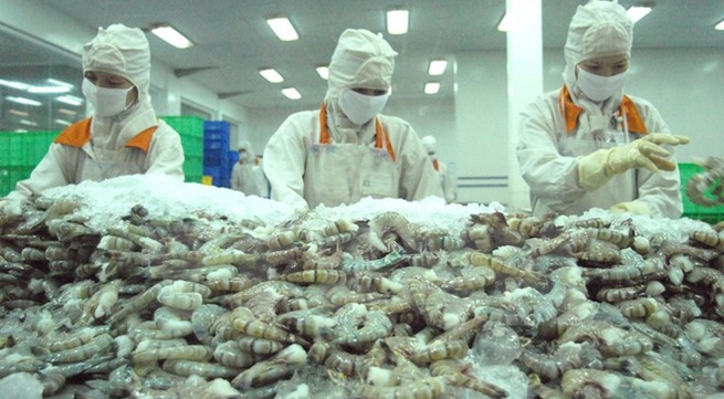 Shrimp exports to EU rebound