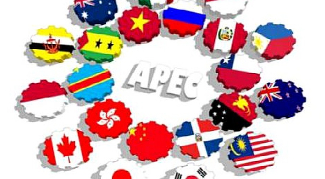 Vietnam kicks off 2017 APEC year