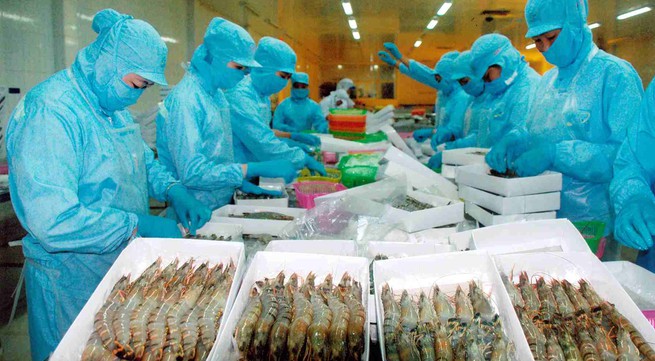 Vietnamese shrimp reaches record high prices