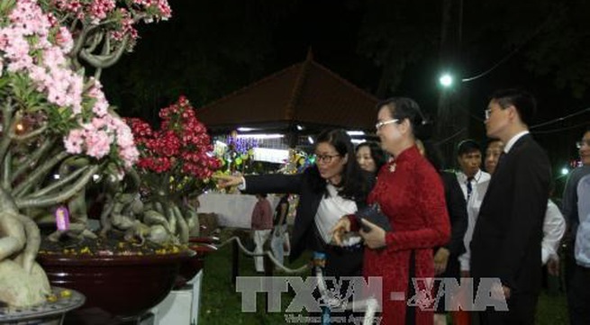 Spring flower festival opens in HCM City to welcome New Year