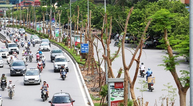 One million trees project in Hanoi
