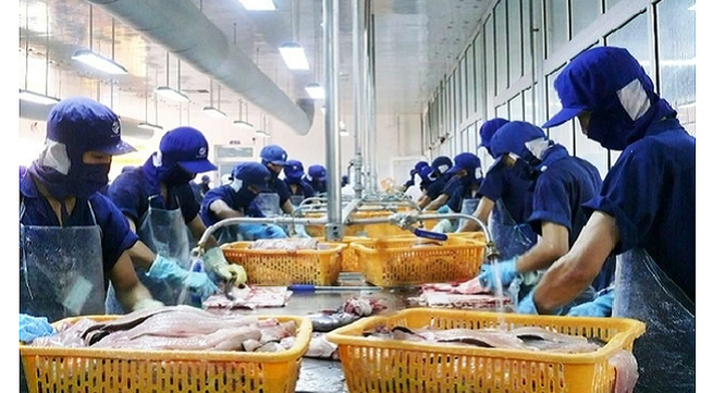 Tra fish enterprises target domestic market