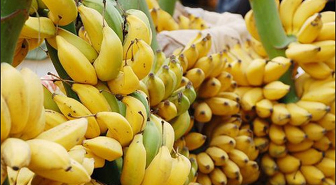 Increased demand for Vietnamese bananas