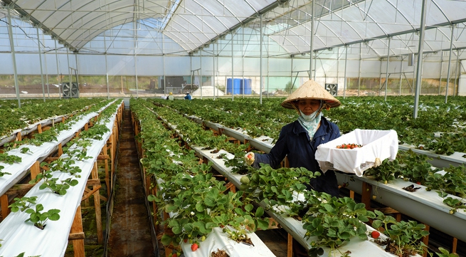 1,4 billion USD disbursed for high tech agriculture