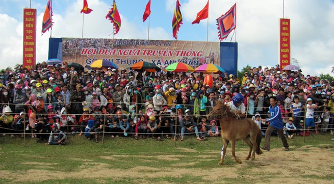 Unique horse race festival in Phu Yen