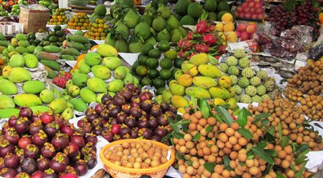 Export potential of Vietnamese fruits
