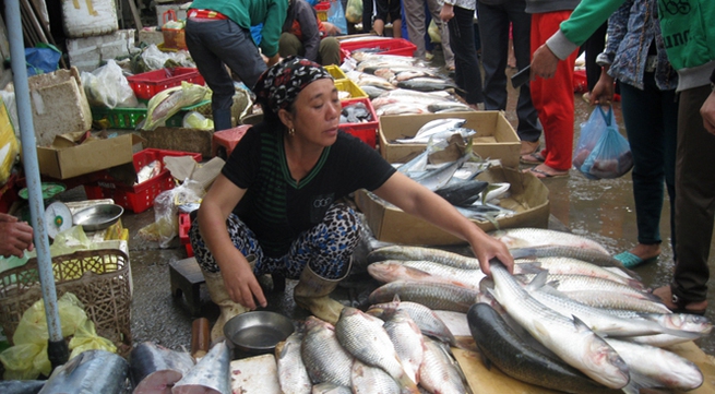 Quang Binh aquaculture experiences strong come back