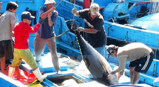 Tuna exports to EU soar in October