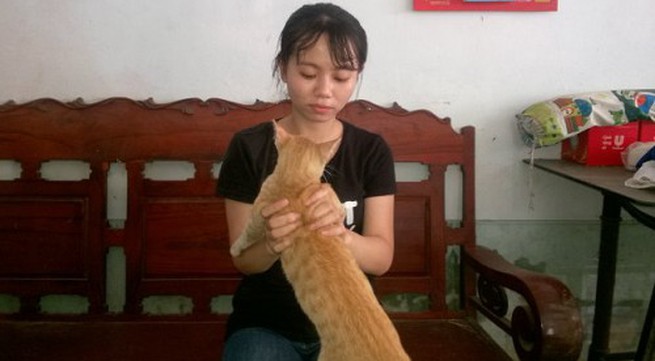 Passenger forced off Phuong Trang bus for smuggling cat in backpack