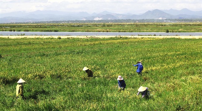 Huế to invest US$52 million in agricultural restructuring
