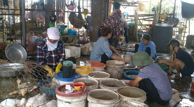 Thanh Hóa rife with illegal slaughterhouses