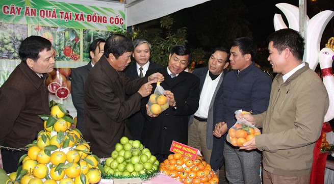 Festival promotes Bắc Giang fruit industry