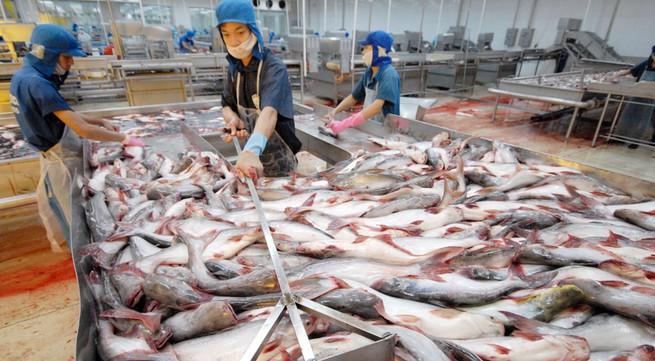 More barriers for Vietnamese fishery exports