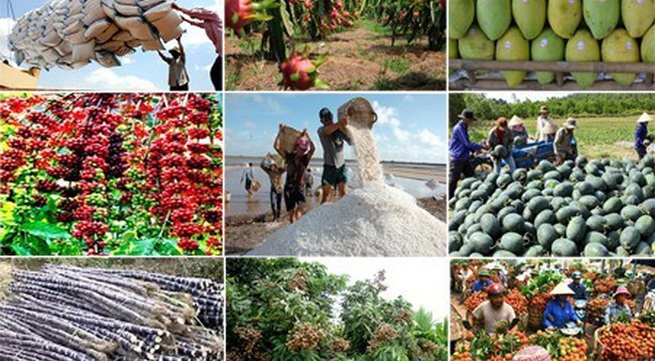Building a value chain for agricultural products