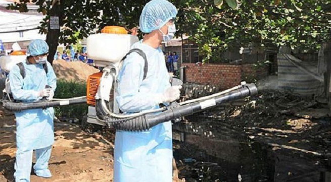 Dengue fever cases fall 70% in Hanoi
