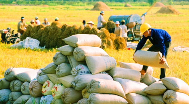 Vietnam more than capable of meeting rice export demand