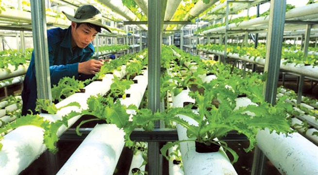Long An province to build 4 high-tech agriculture zones