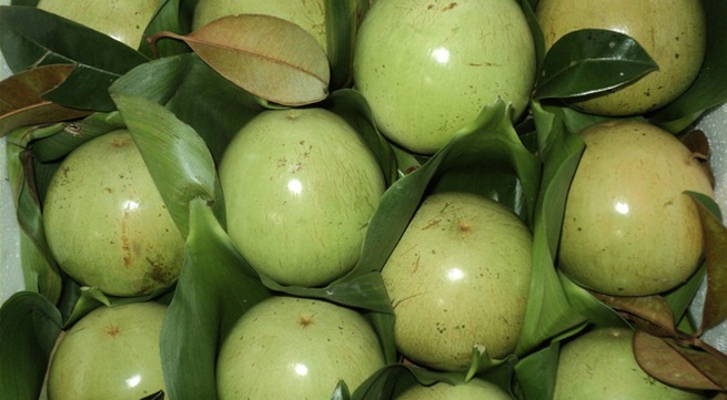 Vietnam star apple officially enters US market