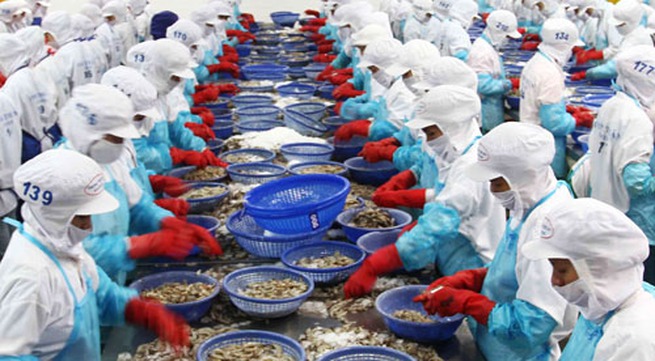 Japan consumes most Vietnamese aquaculture products