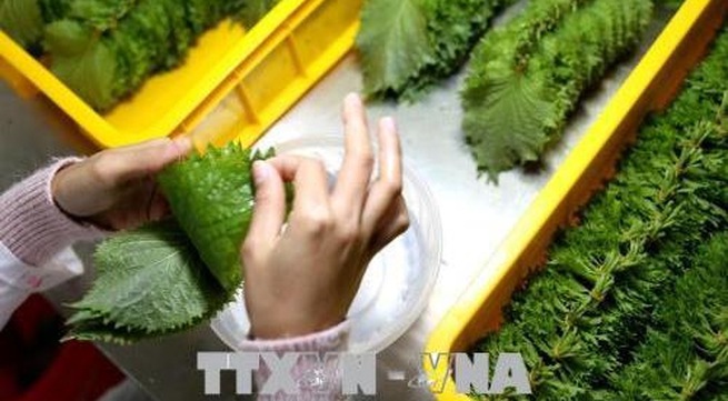 Vietnam’s fruit and vegetable exports hit US$1.62 billion in five months