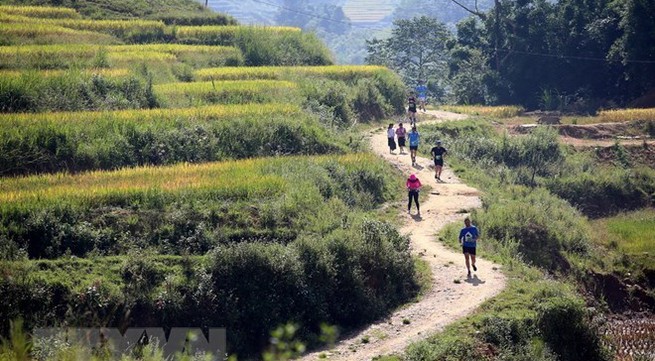Over 3,100 runners compete in Sa Pa int’l mountain marathon