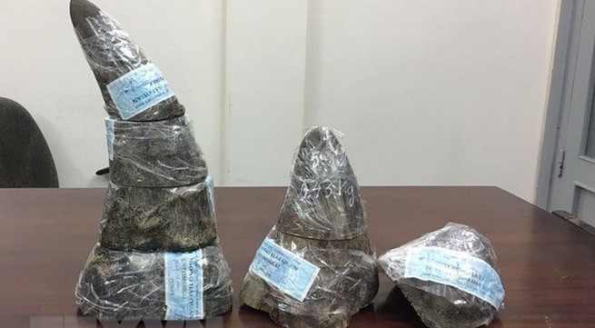 34kg of rhino horns seized at Noi Bai airport