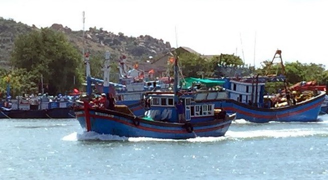 Tien Giang develops offshore fishing fleet