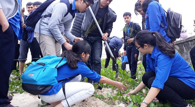 Localities nationwide launch New Year tree planting festival