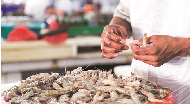 Shrimp prices in Vietnam still high