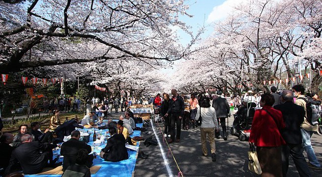 Warmer weather brings crowds to Tokyo cherry blossoms spots earlier than usual