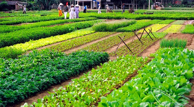 Rising trend of agritourism