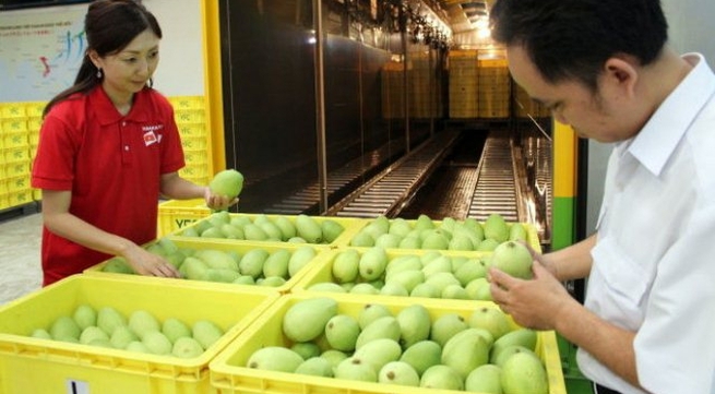 Vietnam earns 13 million USD from fruit and veg exports each day as Tet nears