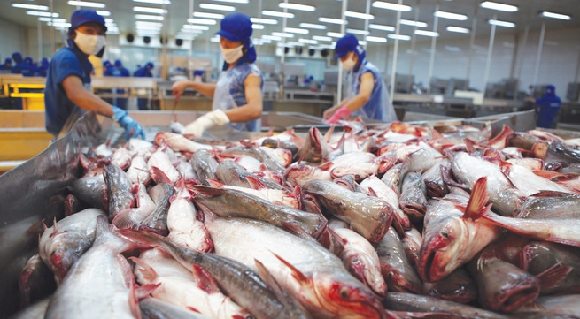 Tra fish prices rise to record levels