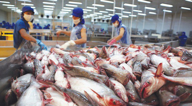 Tra fish exports to China surge
