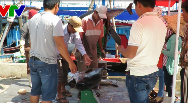 Phu Yen implements solutions to illegal fishing