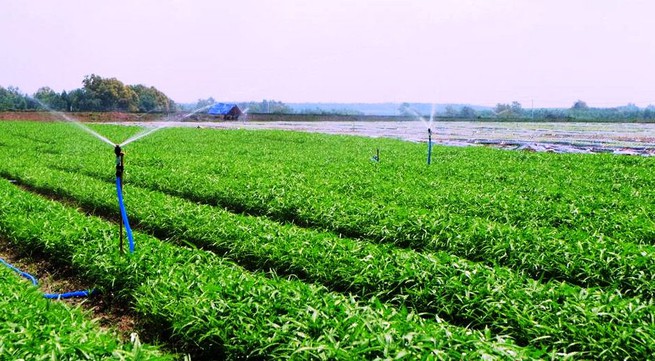 Dong Nai province prioritizes high-tech agriculture