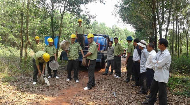 Effective forest fire prevention in Quang Tri