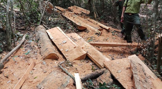 Investigation begins into deforestation inside national park