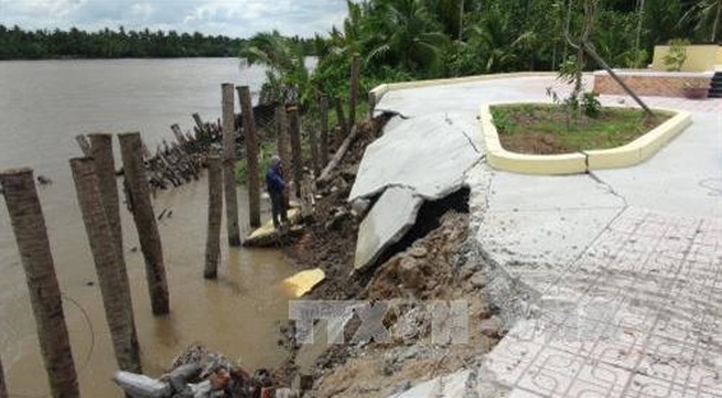 Bến Tre to build dyke along Hàm Luông River to prevent saline intrusion