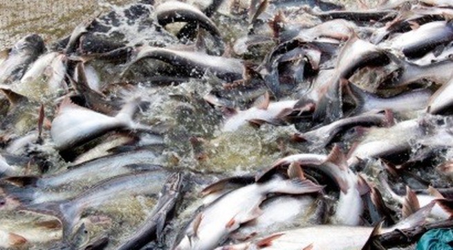 WTO panel set up to settle VN-US fish fillet export dispute