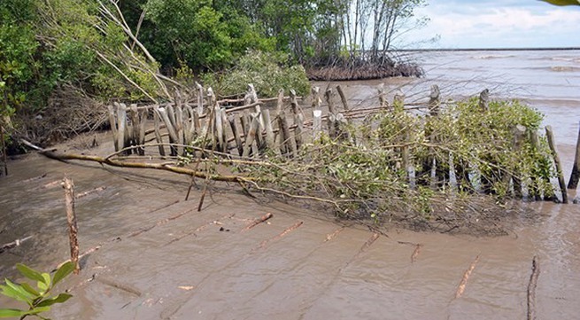 Mekong Delta provinces to combat coastal erosion and flood