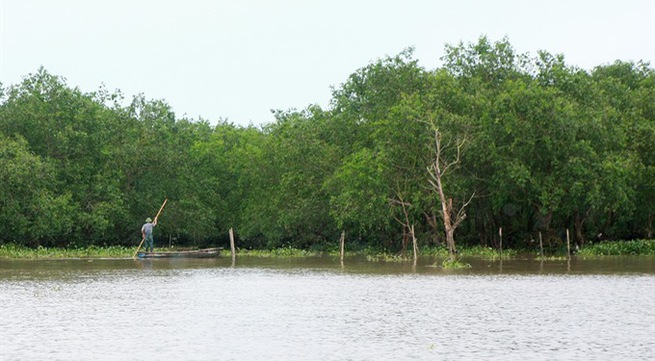 Efforts needed to preserve wetlands