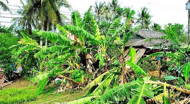 Whirlwinds kill two, damage houses in Cà Mau