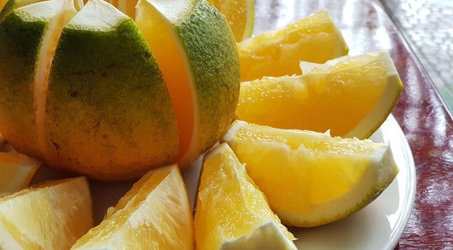 Cao Phong oranges to be served on Vietnam Airlines flights