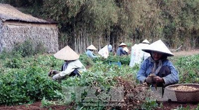 Trà Vinh expands climate change adaptation models