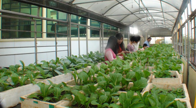Vietnam uses nanotechnology in agriculture